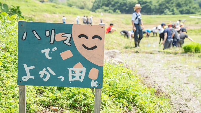 自社活動によるSDGs貢献