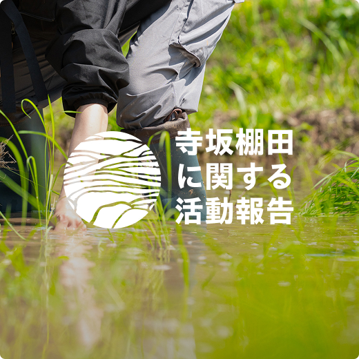 寺坂棚田に関する活動報告