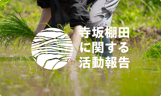 寺坂棚田に関する活動報告