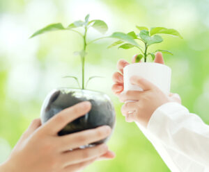 環境ソリューション担当